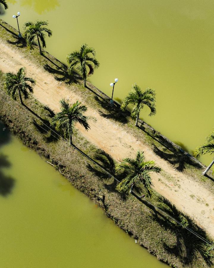 Hacienda Don Vicente Bungalows-Tarapoto Dış mekan fotoğraf