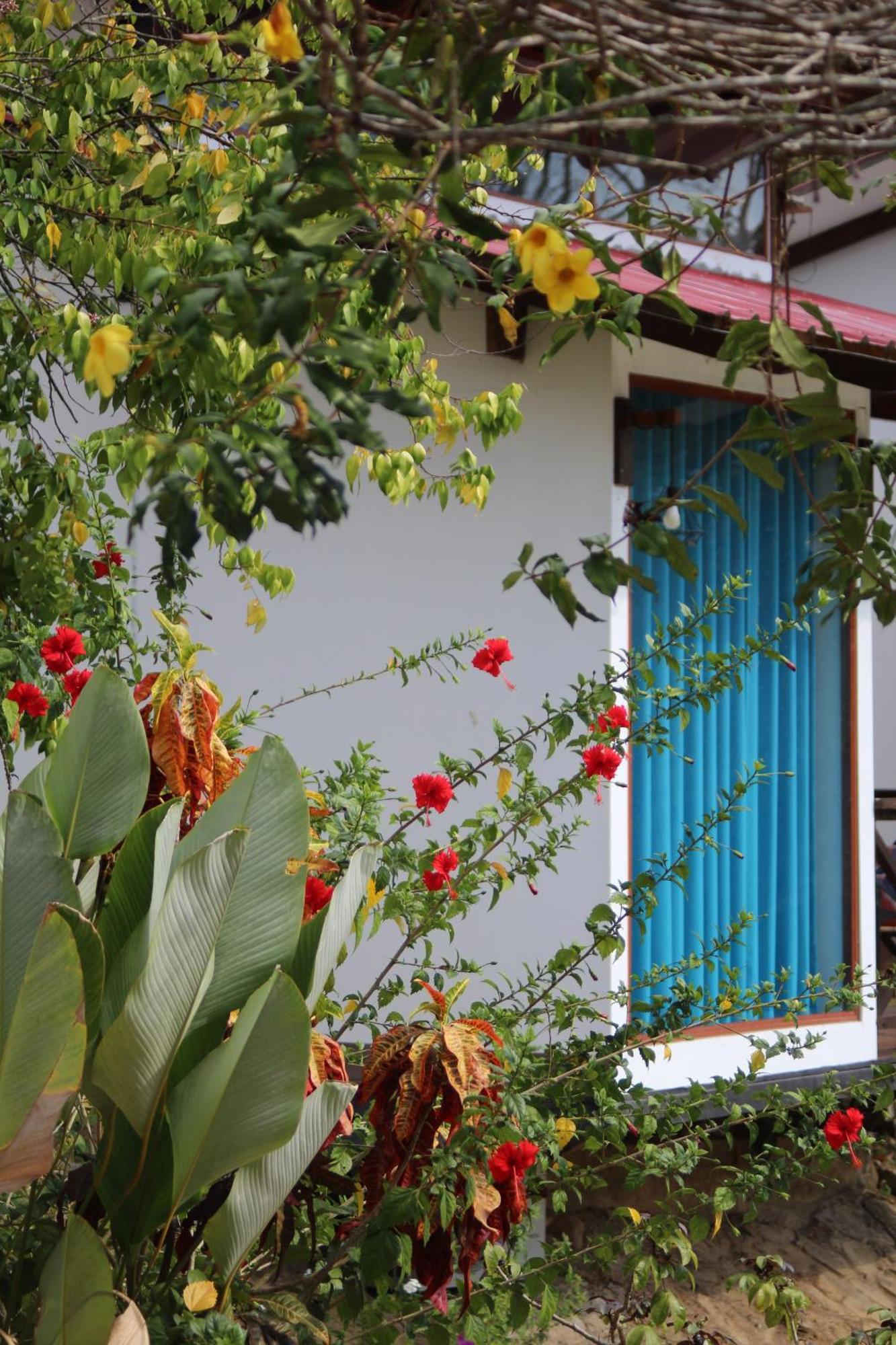 Hacienda Don Vicente Bungalows-Tarapoto Dış mekan fotoğraf